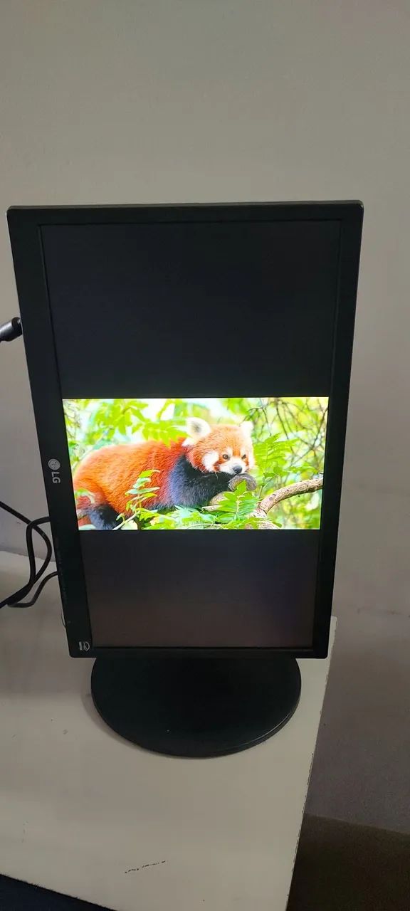 Monitor LG 20" VGA/DVI com base giratória  - Foto 2