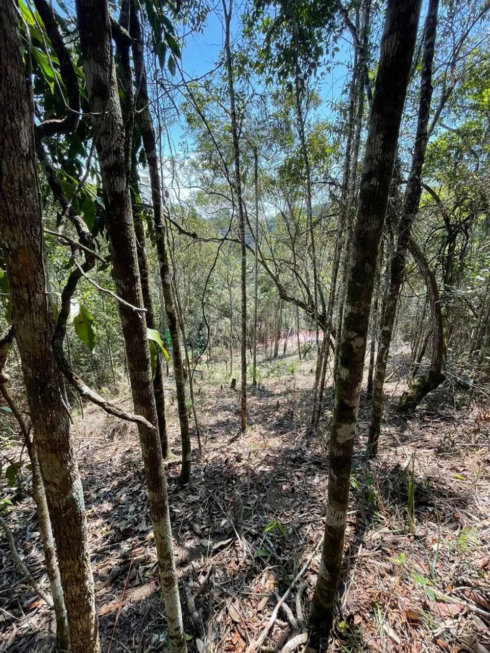 CHÁCARA  d martins - Foto 5