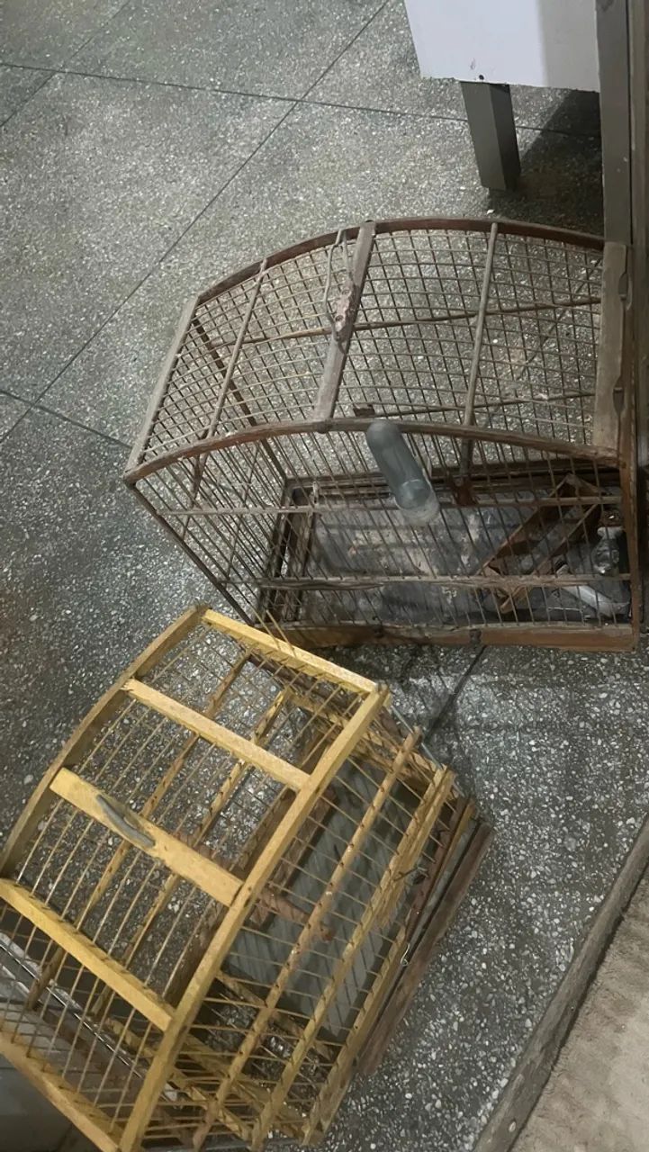 Gaiola  - Foto 5