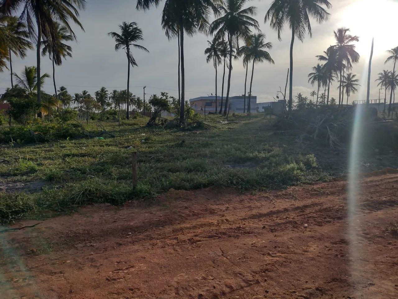 Terreno no Robalo - Foto 4