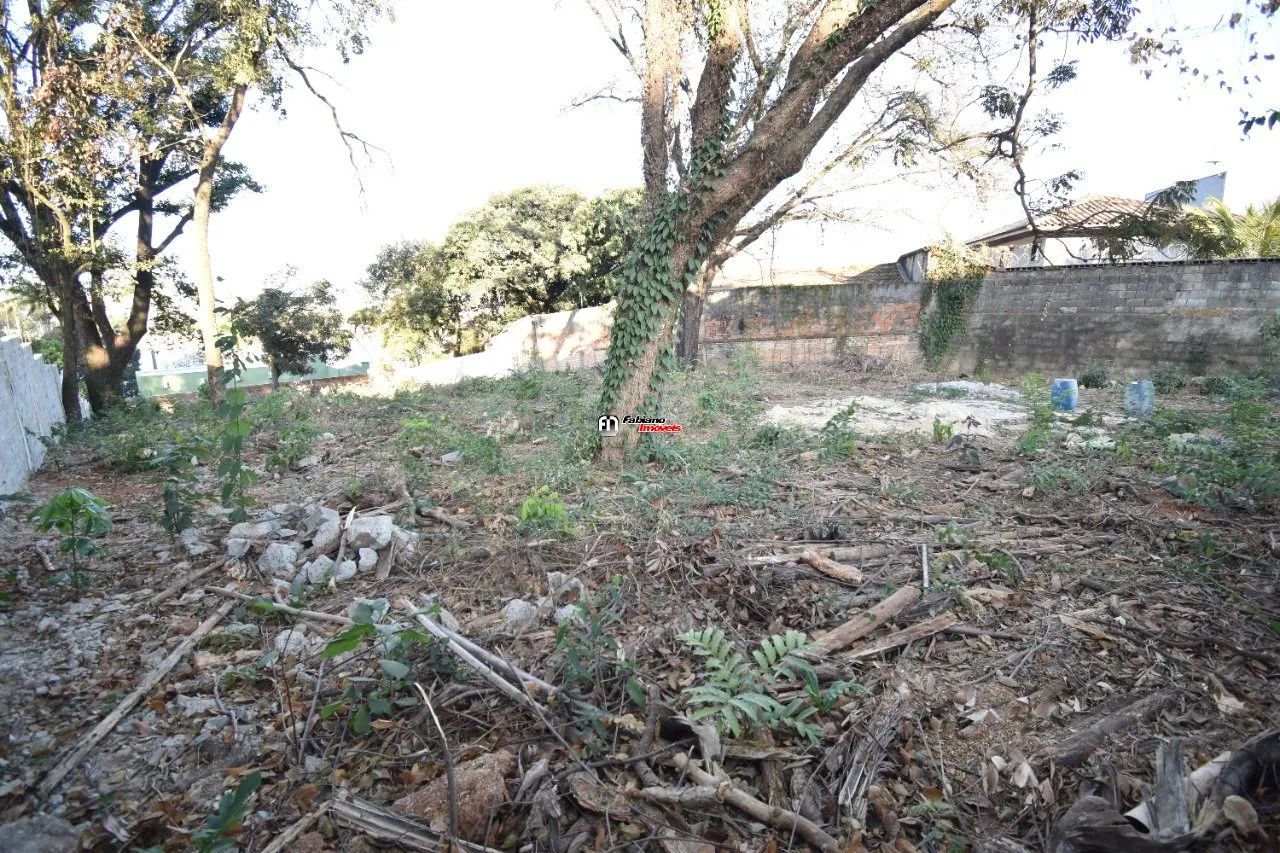 Lote com 500m² no bairro Santa Amélia - Foto 5