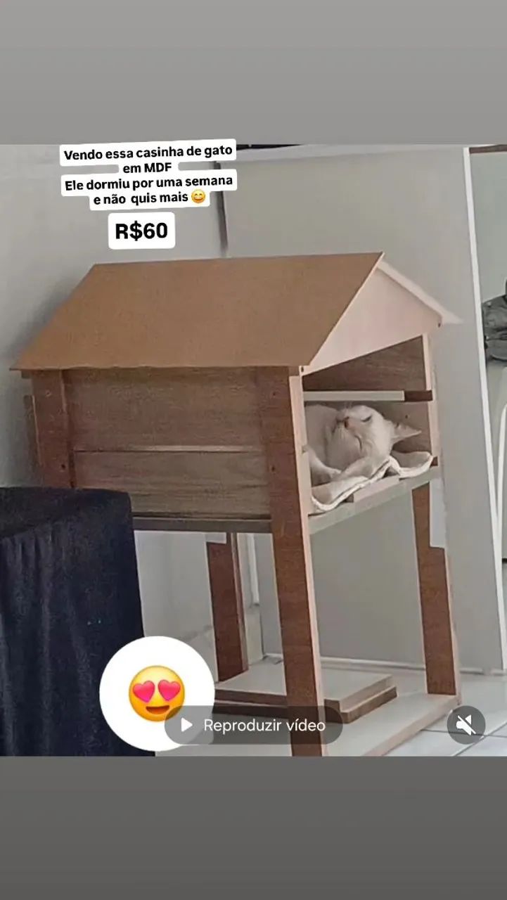 Casinha de pet 