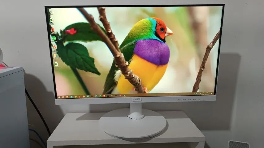 Monitor