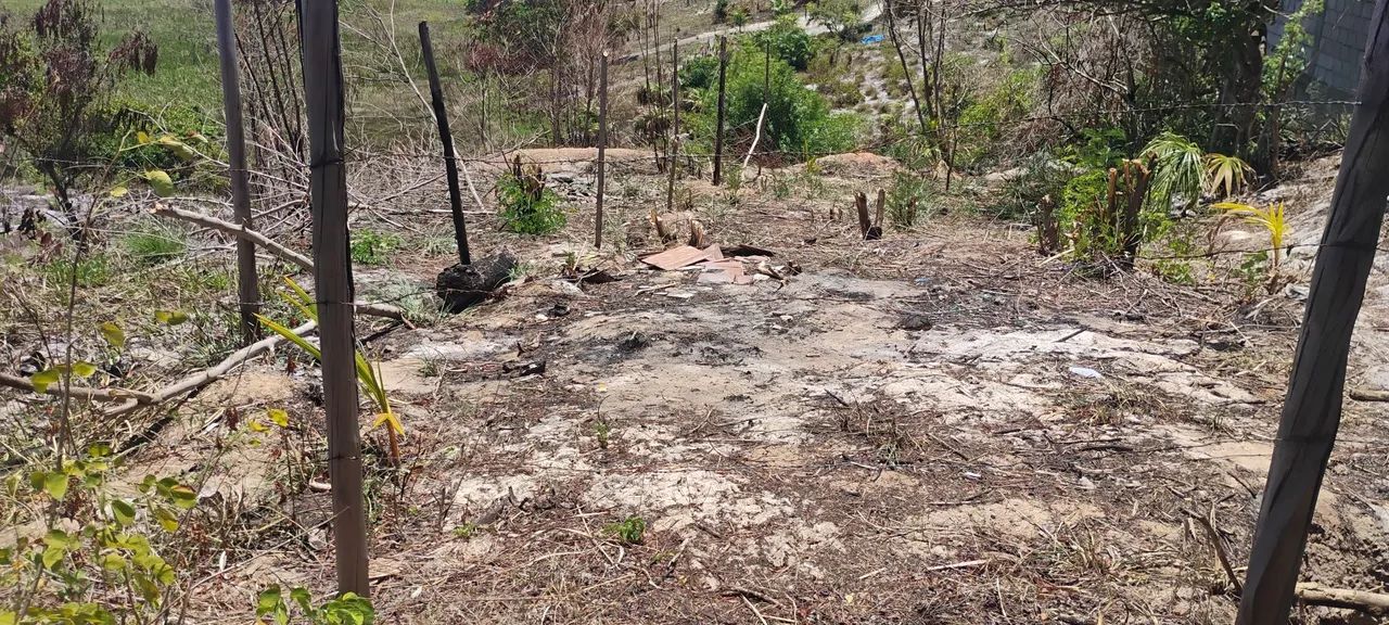 Terreno arembepe - Foto 3