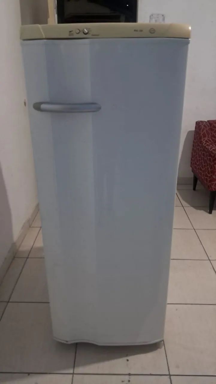 VENDO GELADEIRA ELECTROLUX  - Foto 4