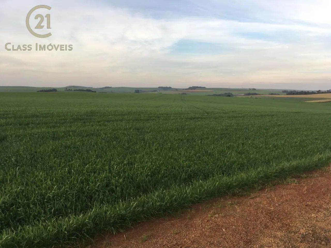 Sítio à venda em Marilândia do Sul, Centro, com 200 m²