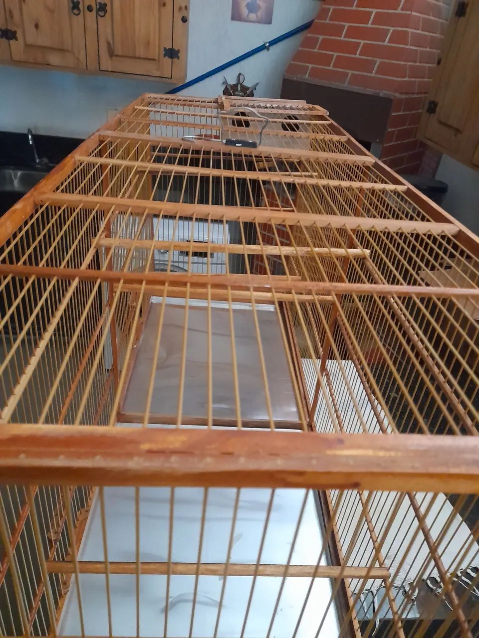 Gaiola voadeira para pássaros  - Foto 3