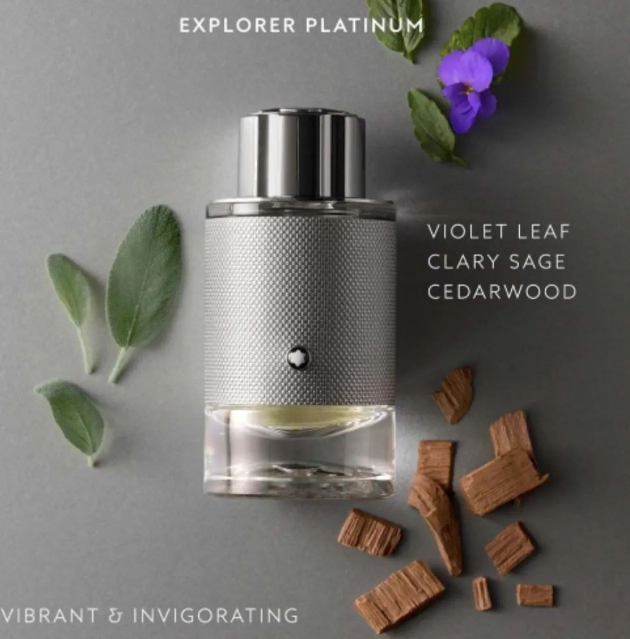 PERFUME MONTBLANC EXPLORER PLATINUM EDP 100ML - Foto 2