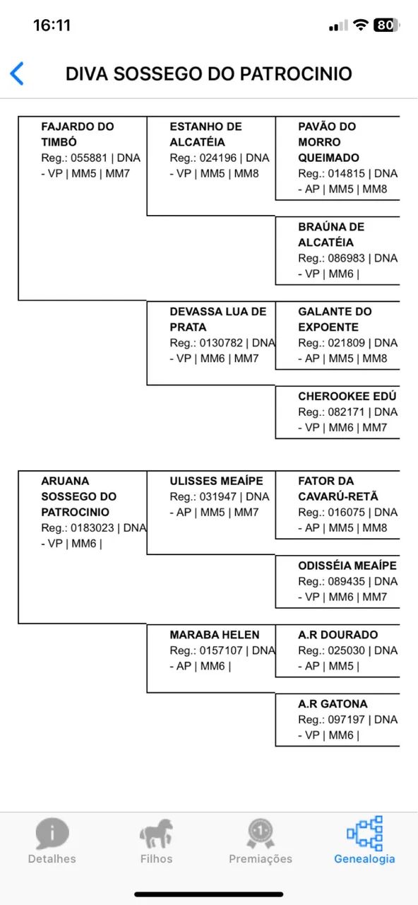 Vendo égua mangalarga marchador - Foto 5