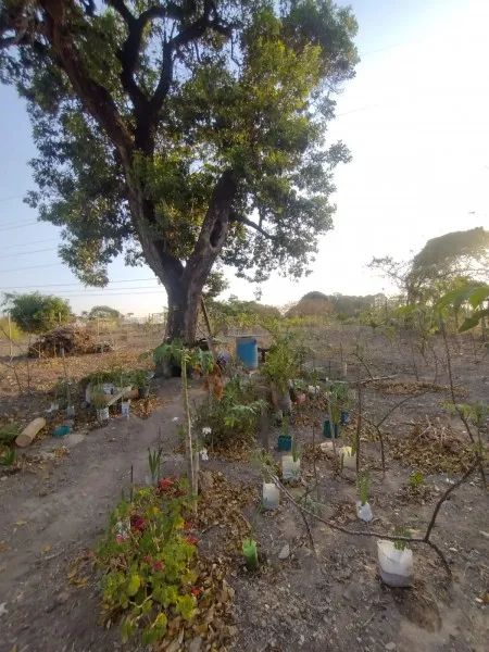 OPORTUNIDADE - Foto 3