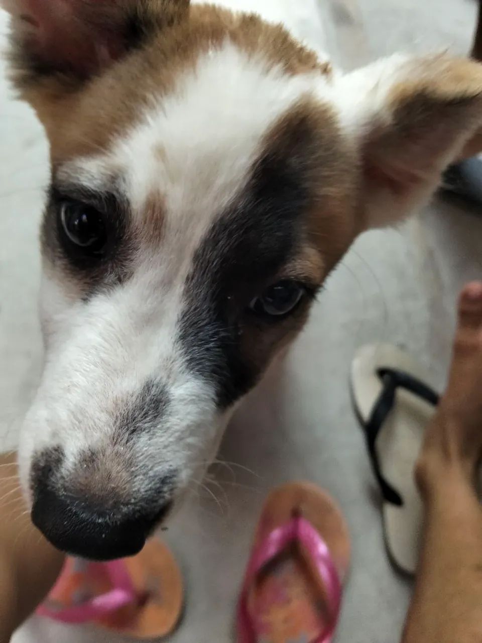 Doação  - Foto 2