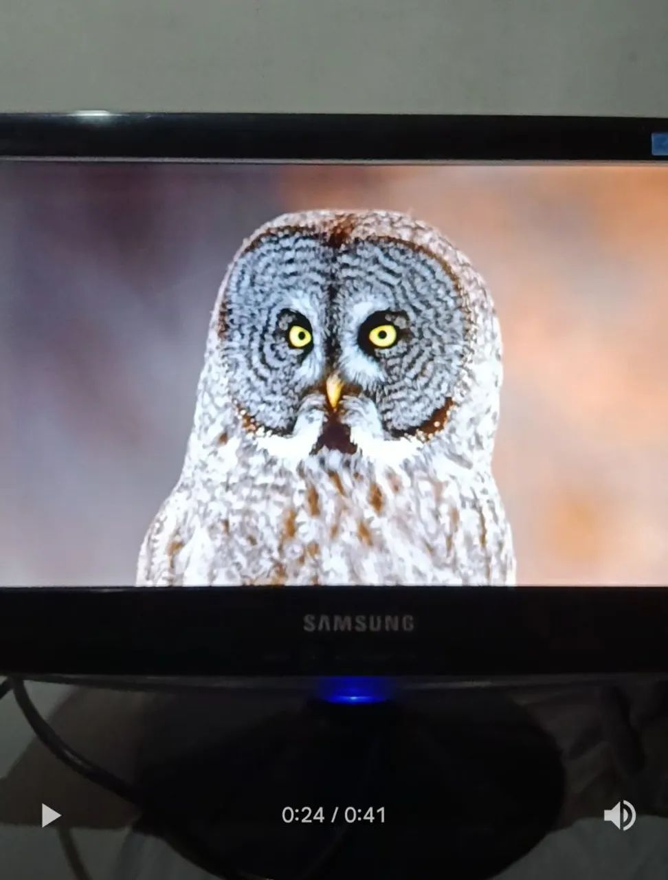 Monitor SAMSUNG 15,6" - Foto 2