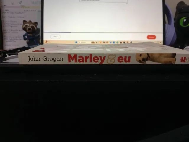 Marley e Eu  - Foto 3