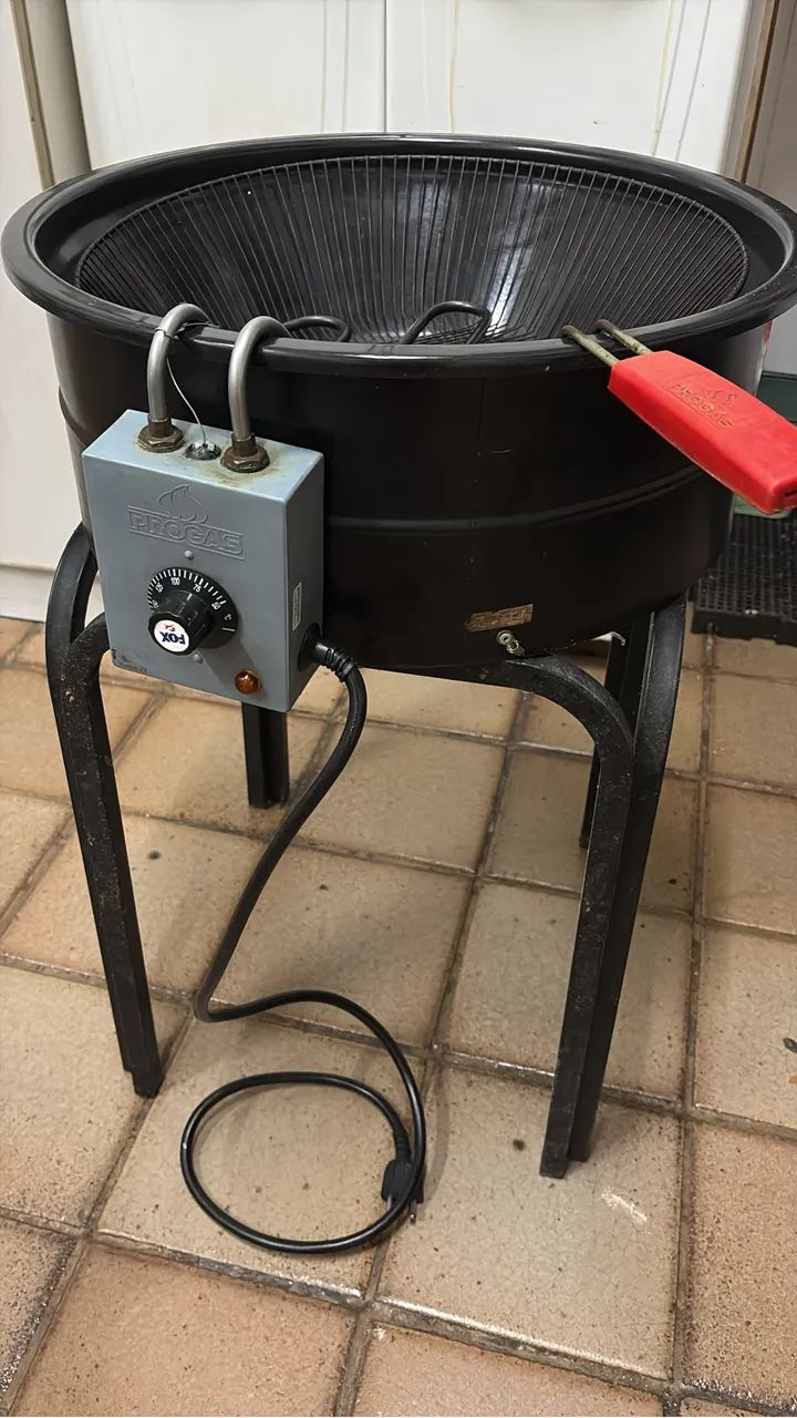 Fritadeira elétrica 12L (resistência com defeito)