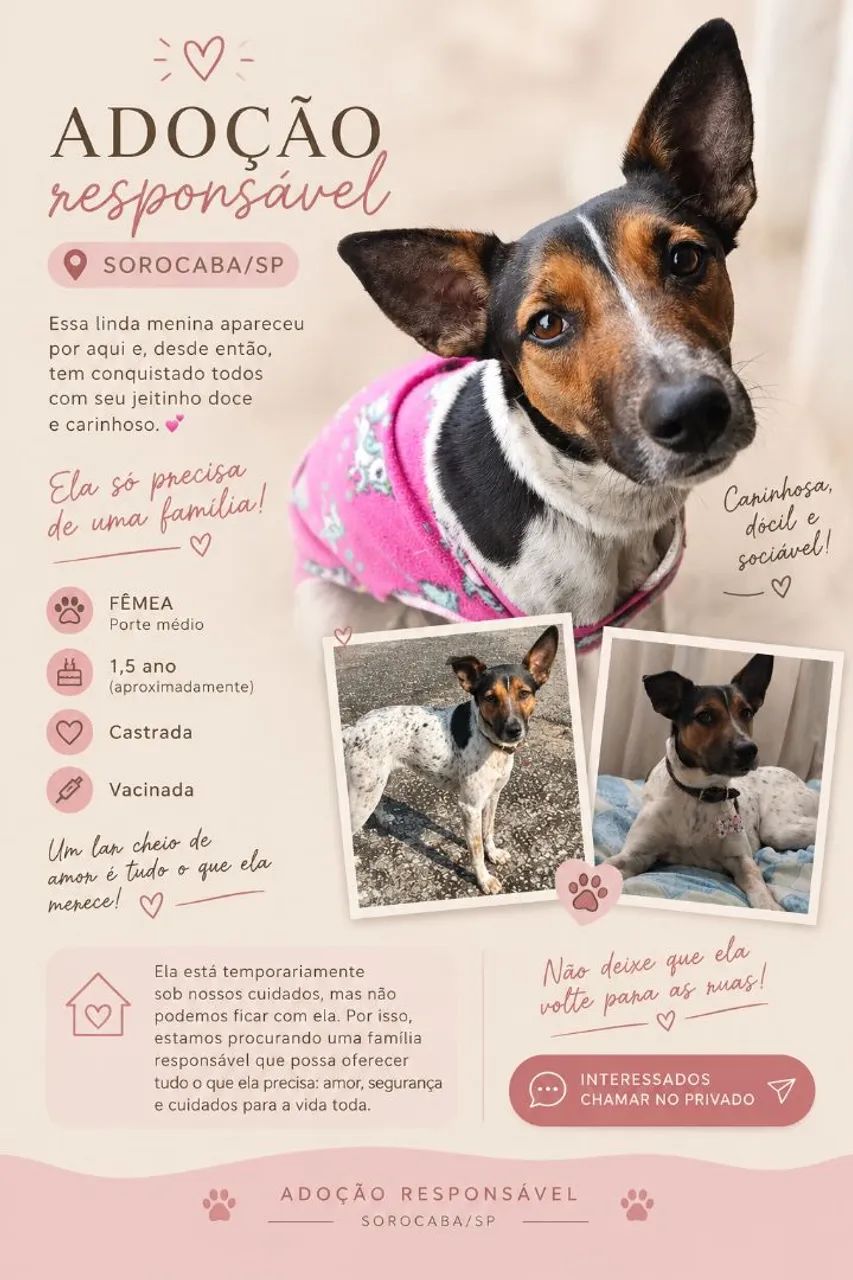 Doa-se cachorrinha 