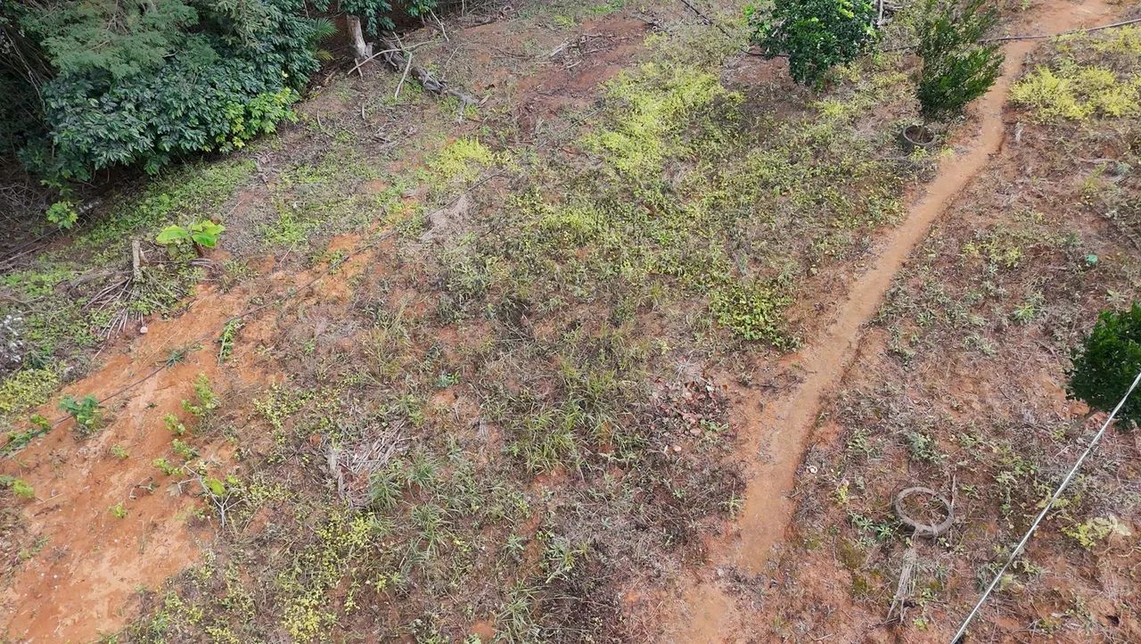 Chacara em Rio das Farinhas - Santa Leopoldina - Foto 5
