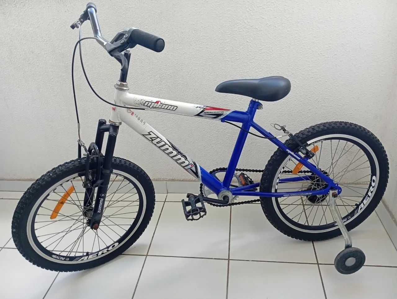 Bicicleta 