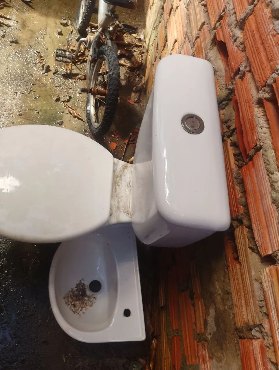 Integrated toilet with sink