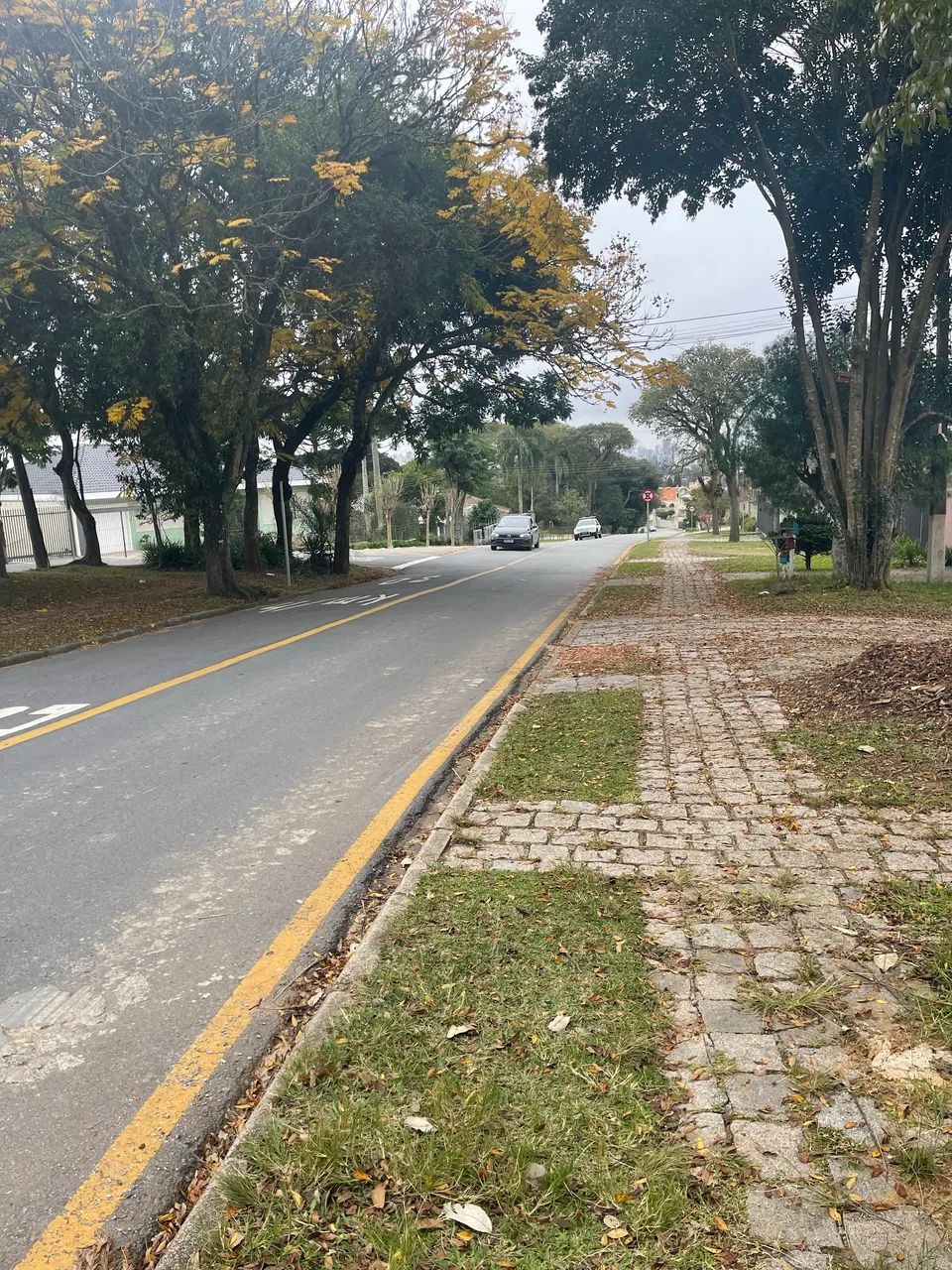 Terreno no Vista Alegre  - Foto 2