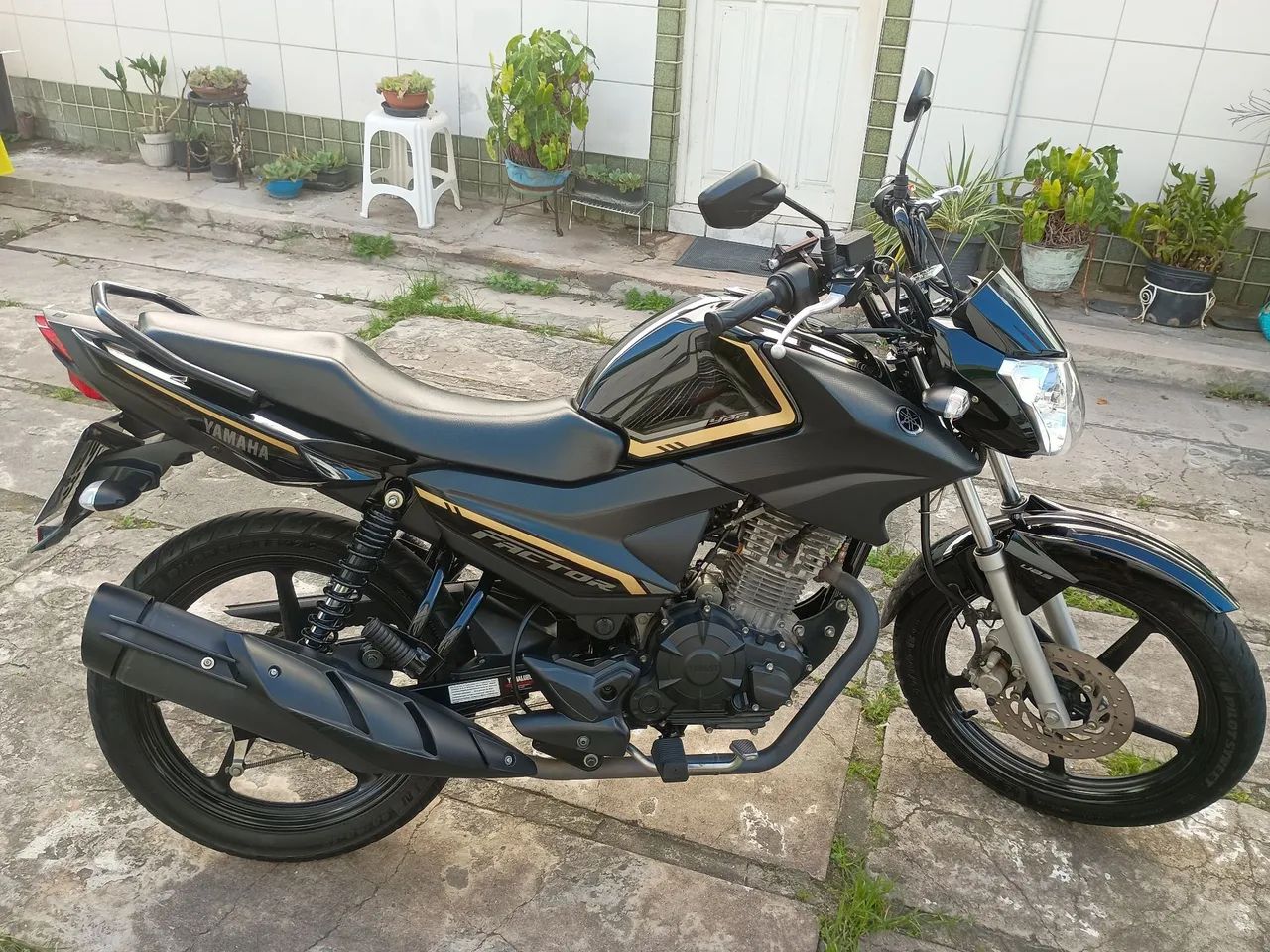Yamaha factor 2024 