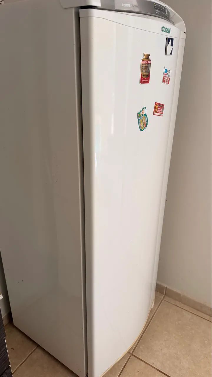 Geladeira Frost Free