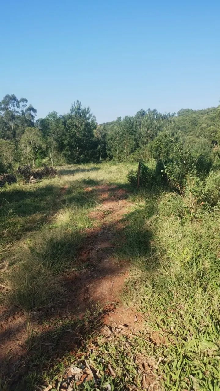 Terreno interior  - Foto 5