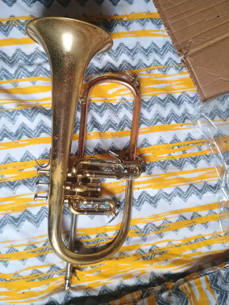 Flugelhorn dolphin - Foto 2