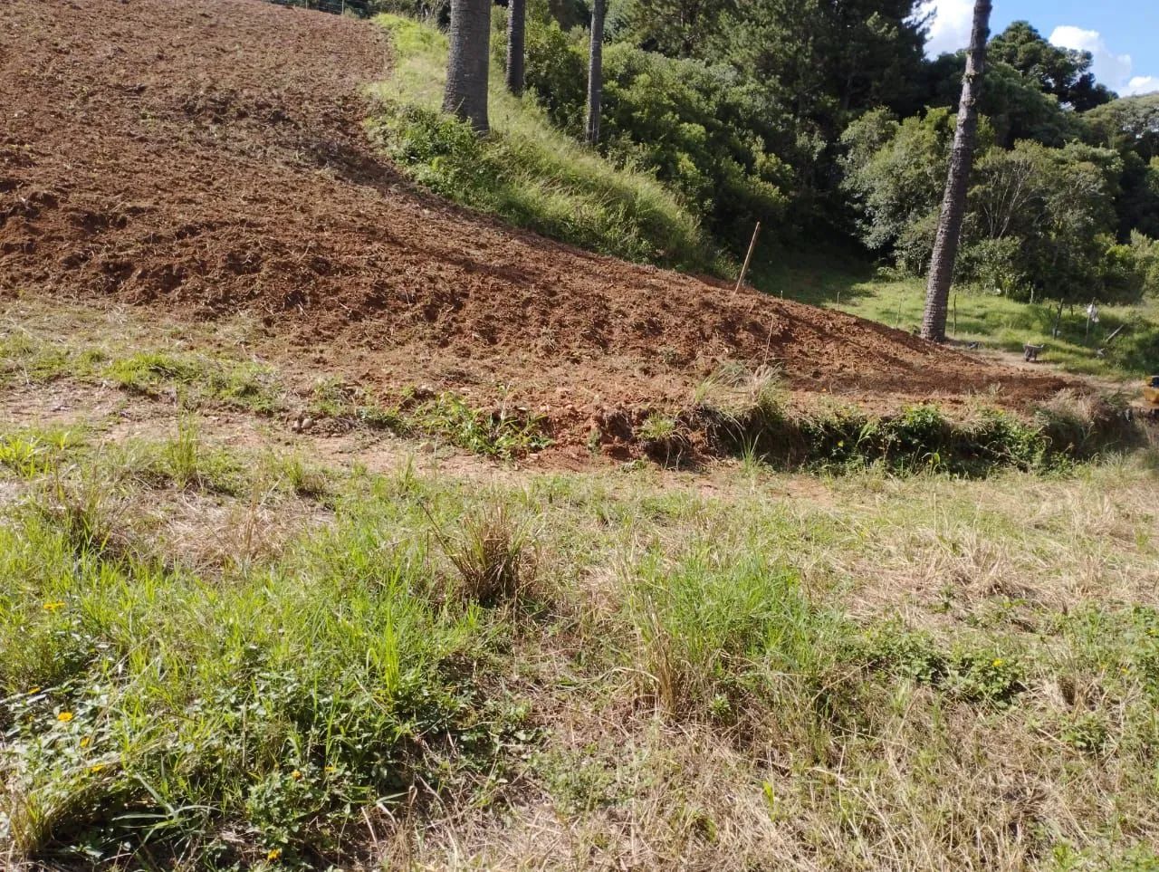 Pequena chácara  - Foto 3