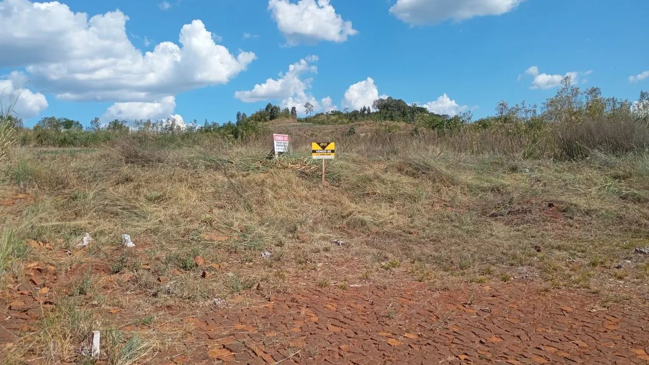 Lote Alagado Nova Prata do Iguaçu  - Foto 2