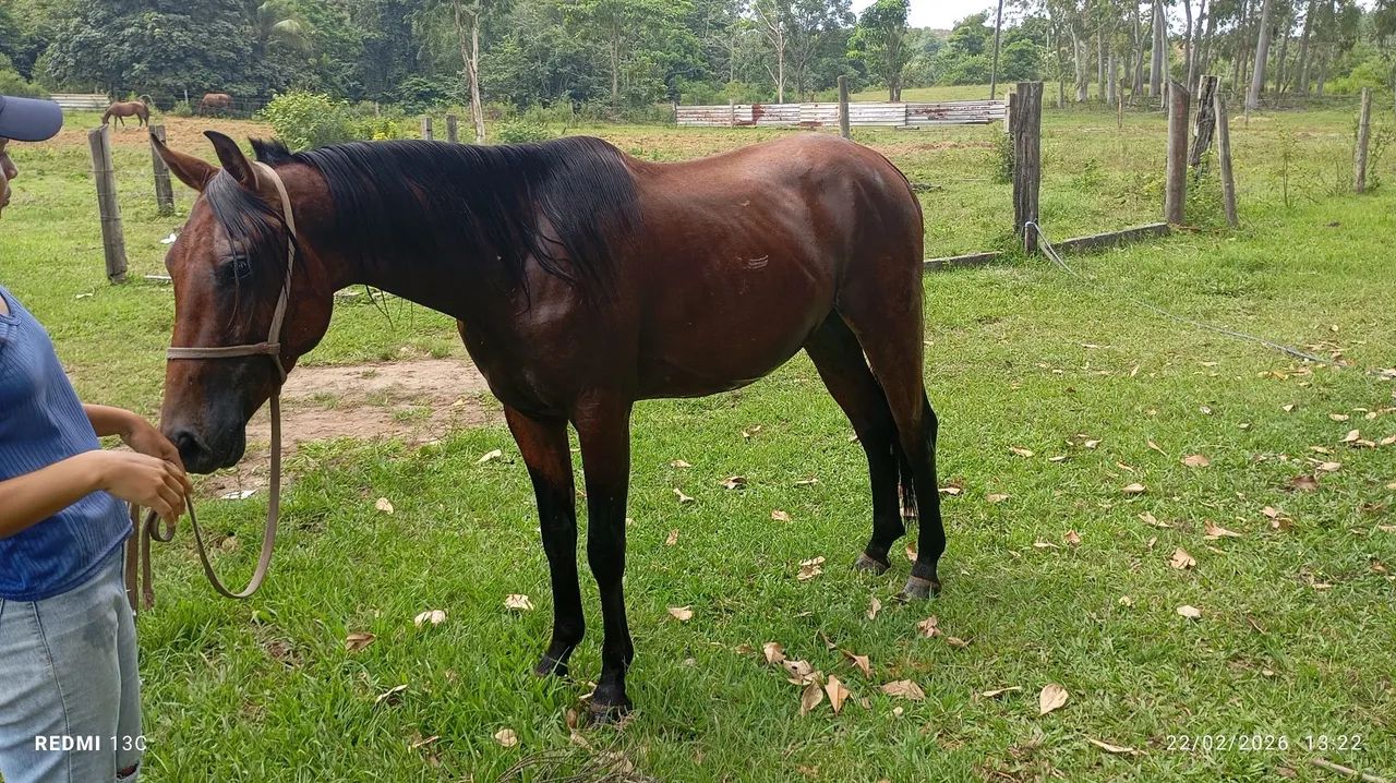 Vendo ou negocio - Foto 3
