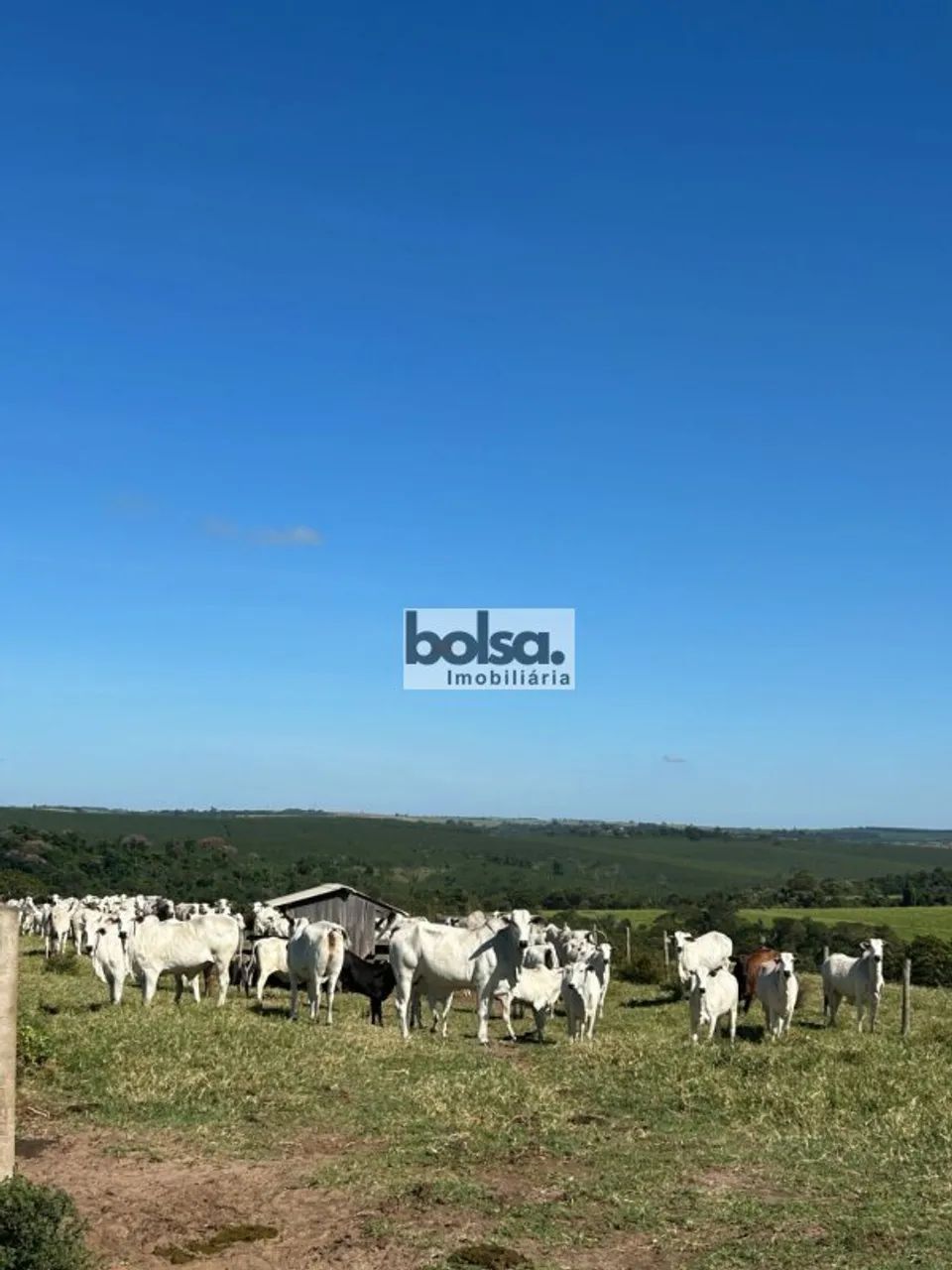 Fazenda montada Bauru - SP