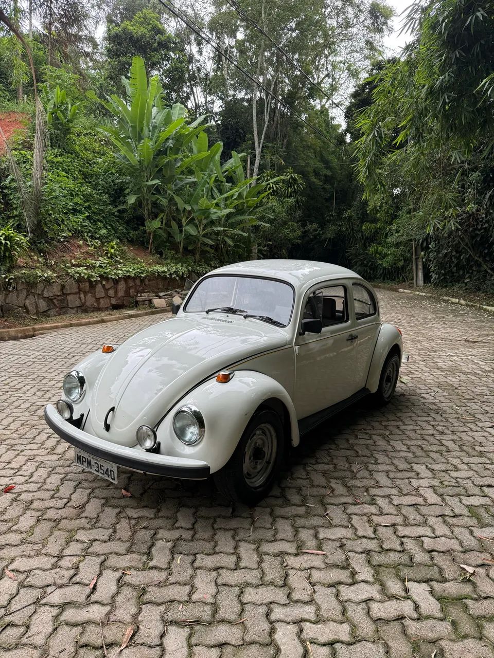 Volkswagen Fusca Fusca (gasolina) 1994