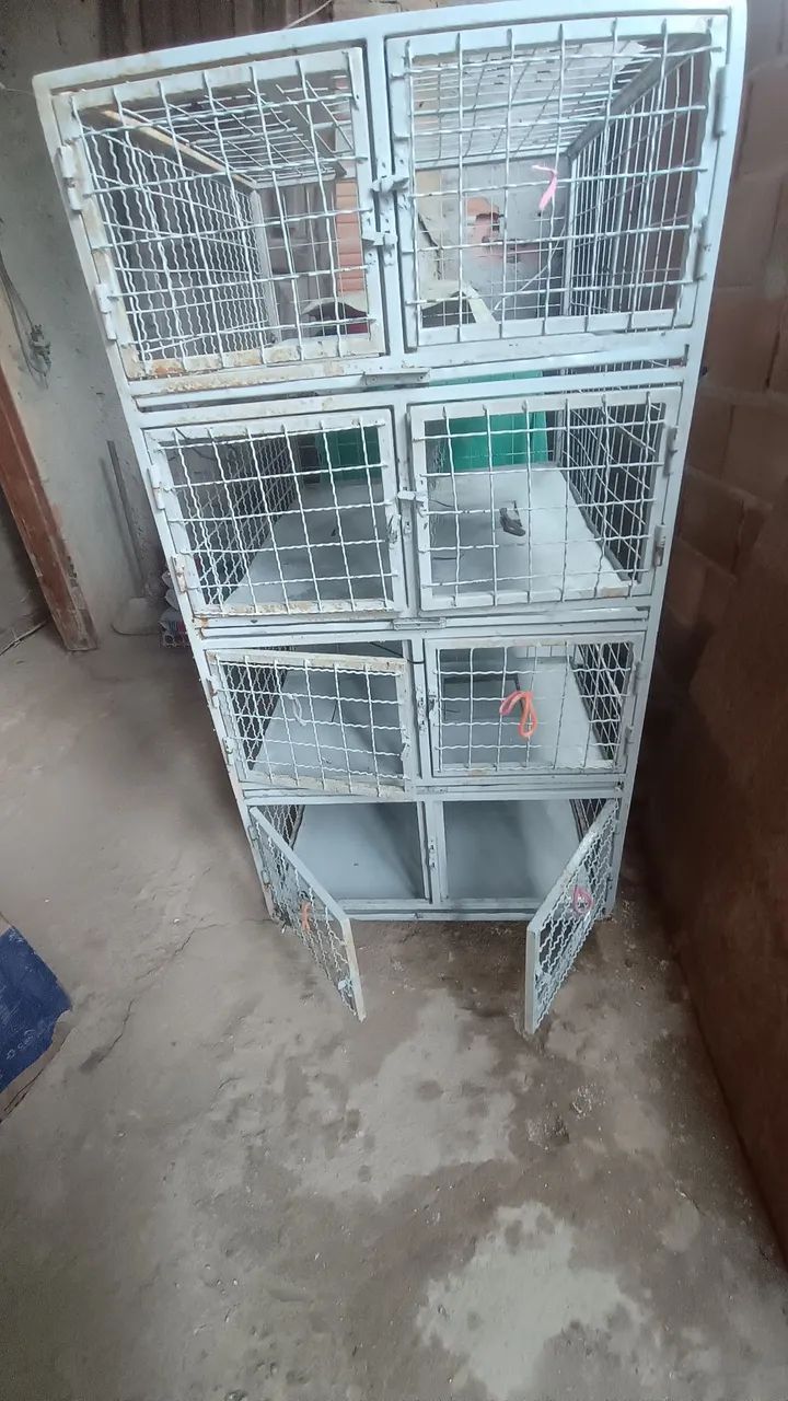 Gaiola para pet 