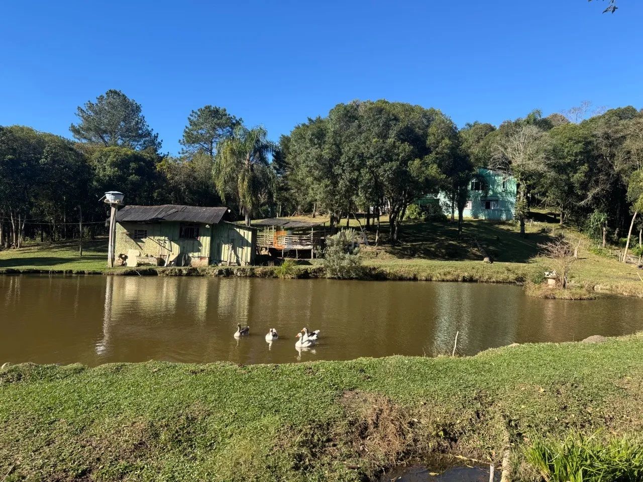 CHÁCARA FORMADA NO PÉ DA SERRA, TANQUE, NASCENTE, BOSQUE