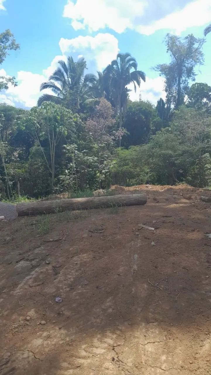 Terreno  - Foto 3