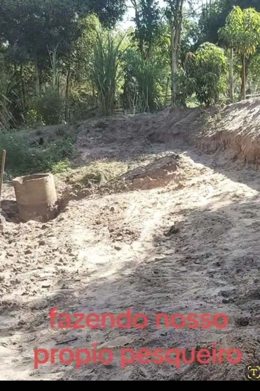 Vende se chacara  - Foto 4