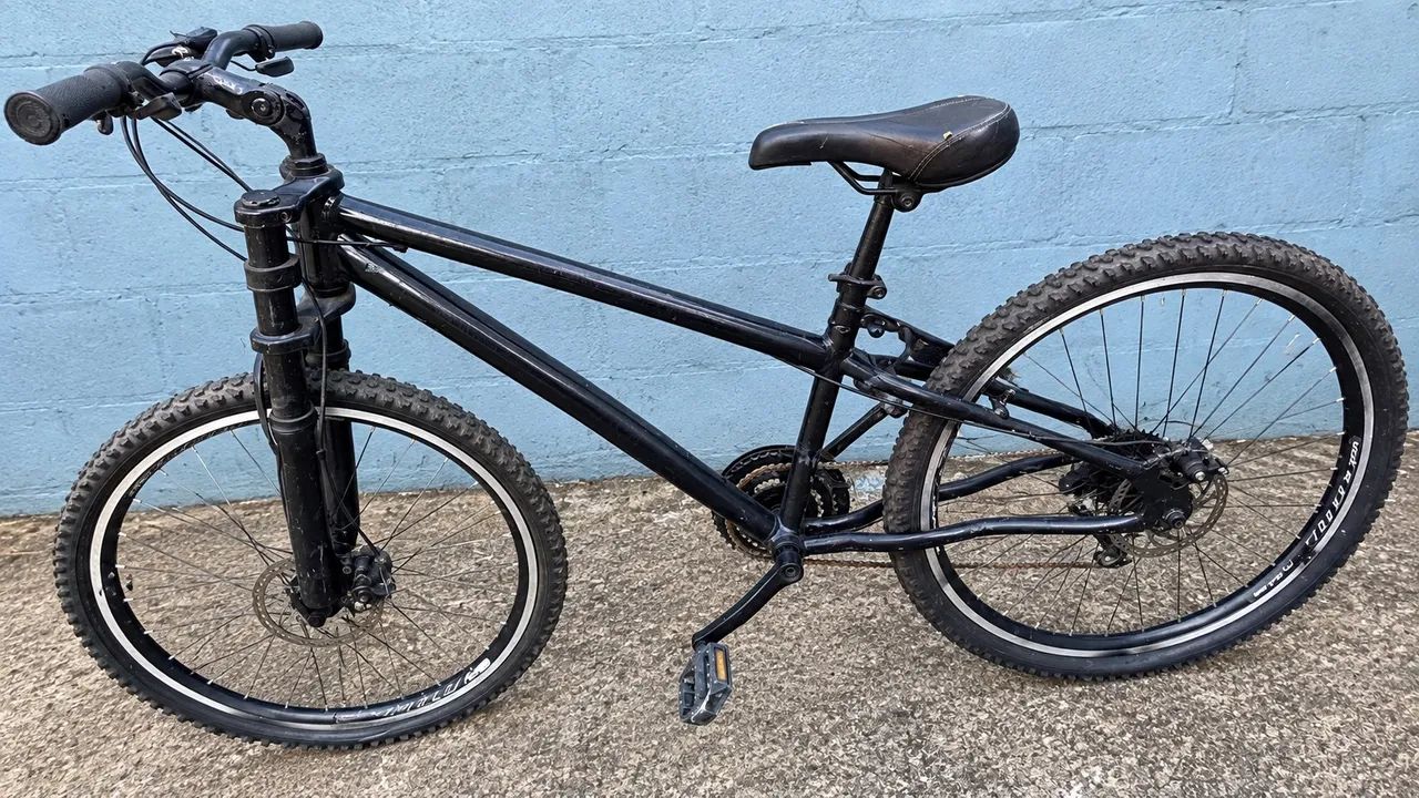 Bicicleta adulto 