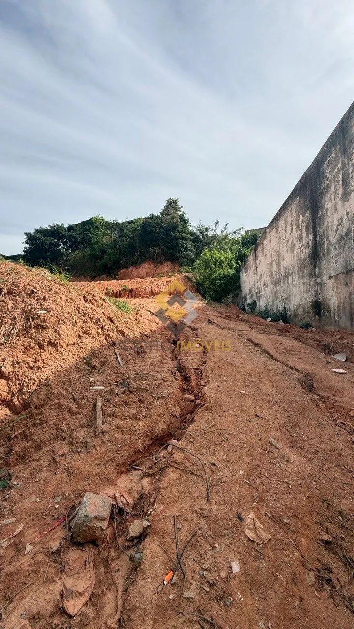Lote - São Francisco - Foto 3