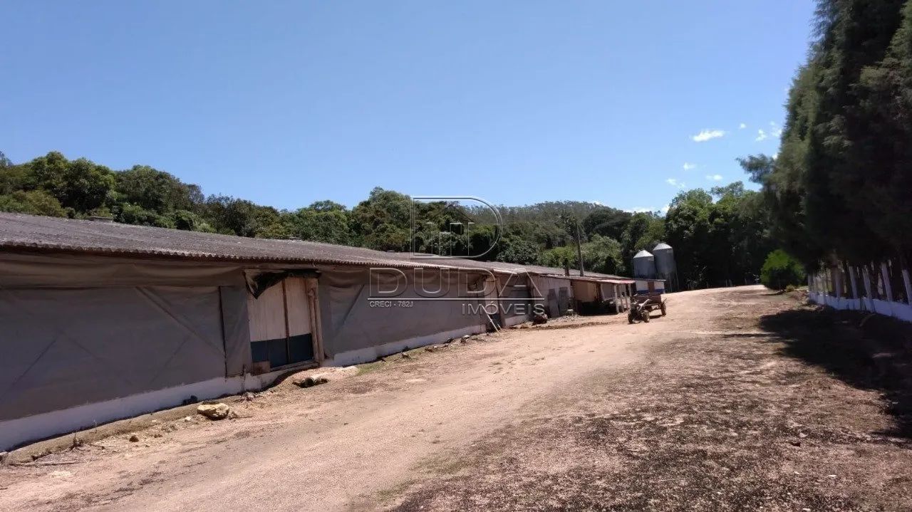 TERRENO EM URUSSANGA À VENDA - Foto 4