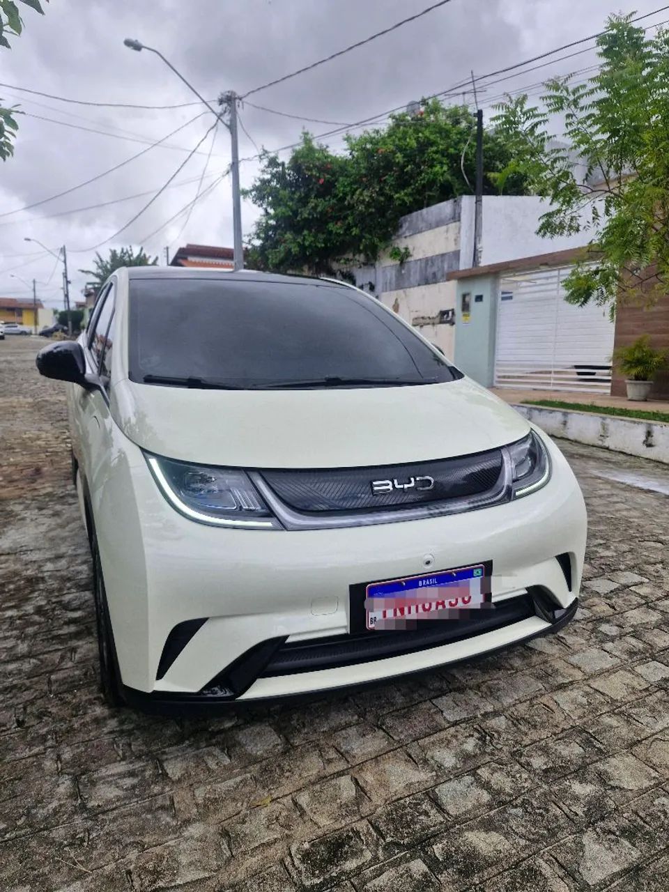 BYD Dolphin EV (Elétrico) 2025 - Foto 3