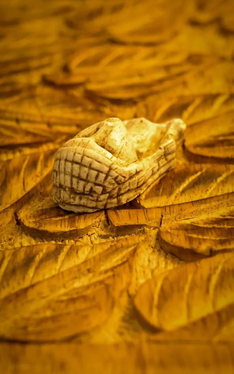 Vênus de Brassempouy - Foto 4
