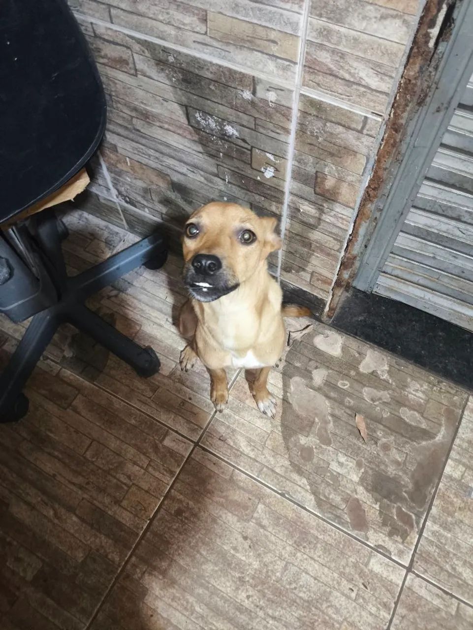 Doação 