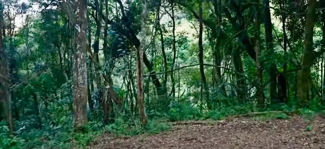Cachoeira das Montanhas - Foto 5