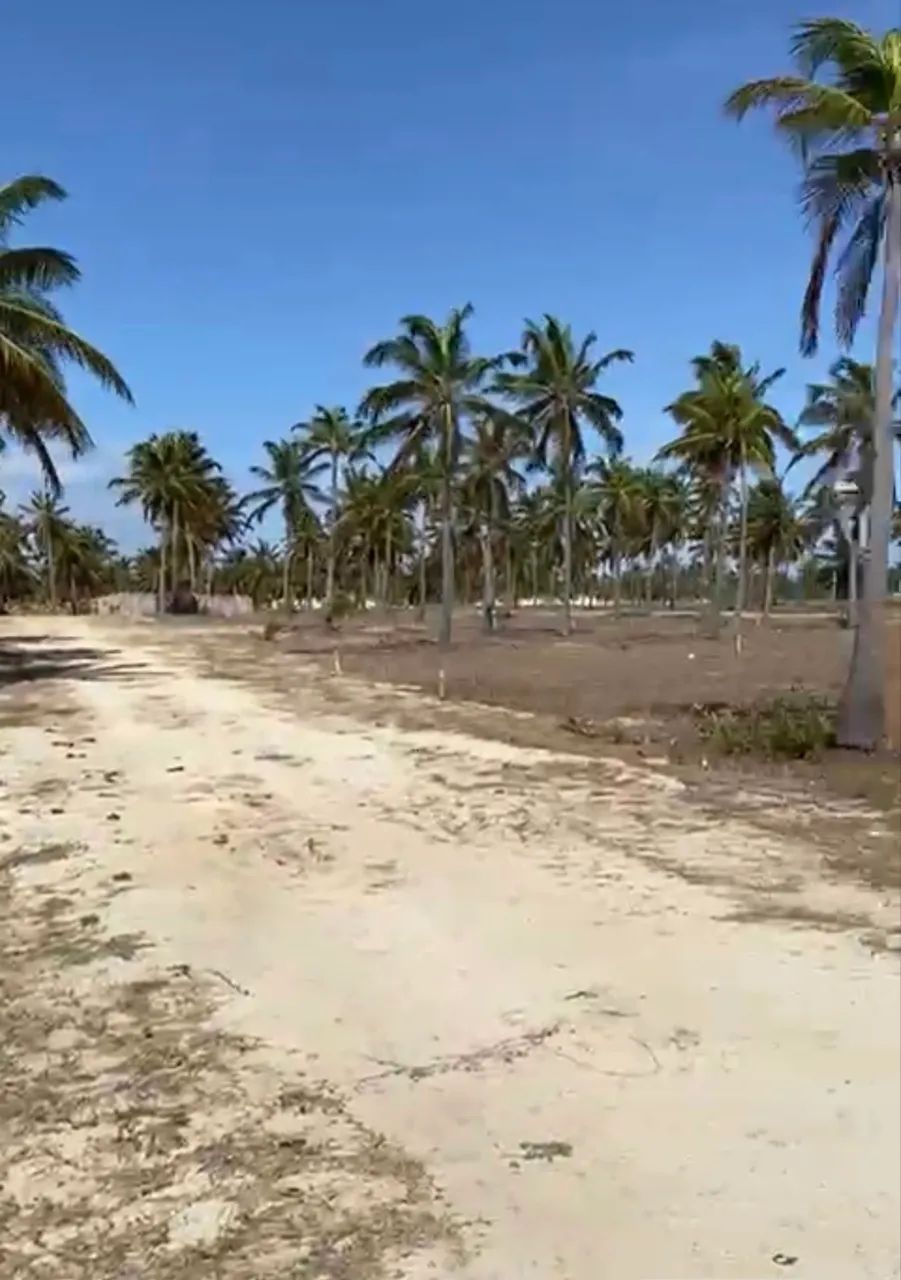 terreno icaraizinho de amontada - Foto 2