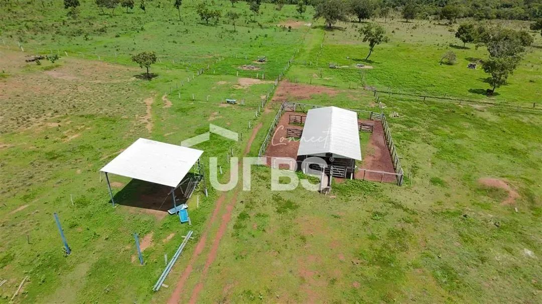 FAZENDA 90 ALQUEIRES - Foto 2