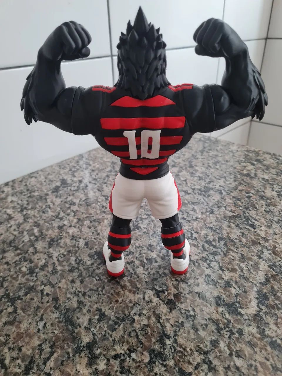Urubu do flamengo  - Foto 3
