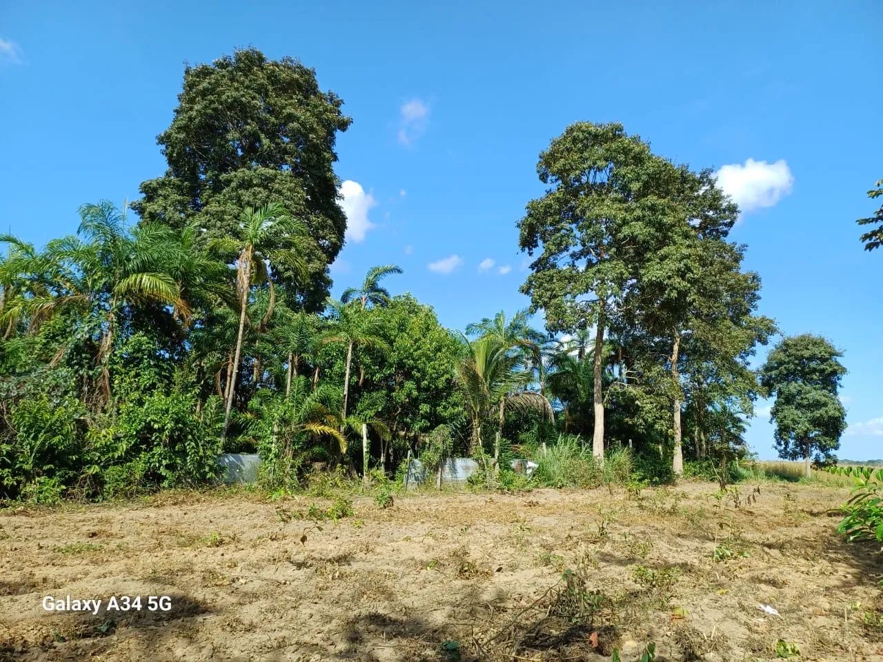 Terreno em Belterra - Foto 3