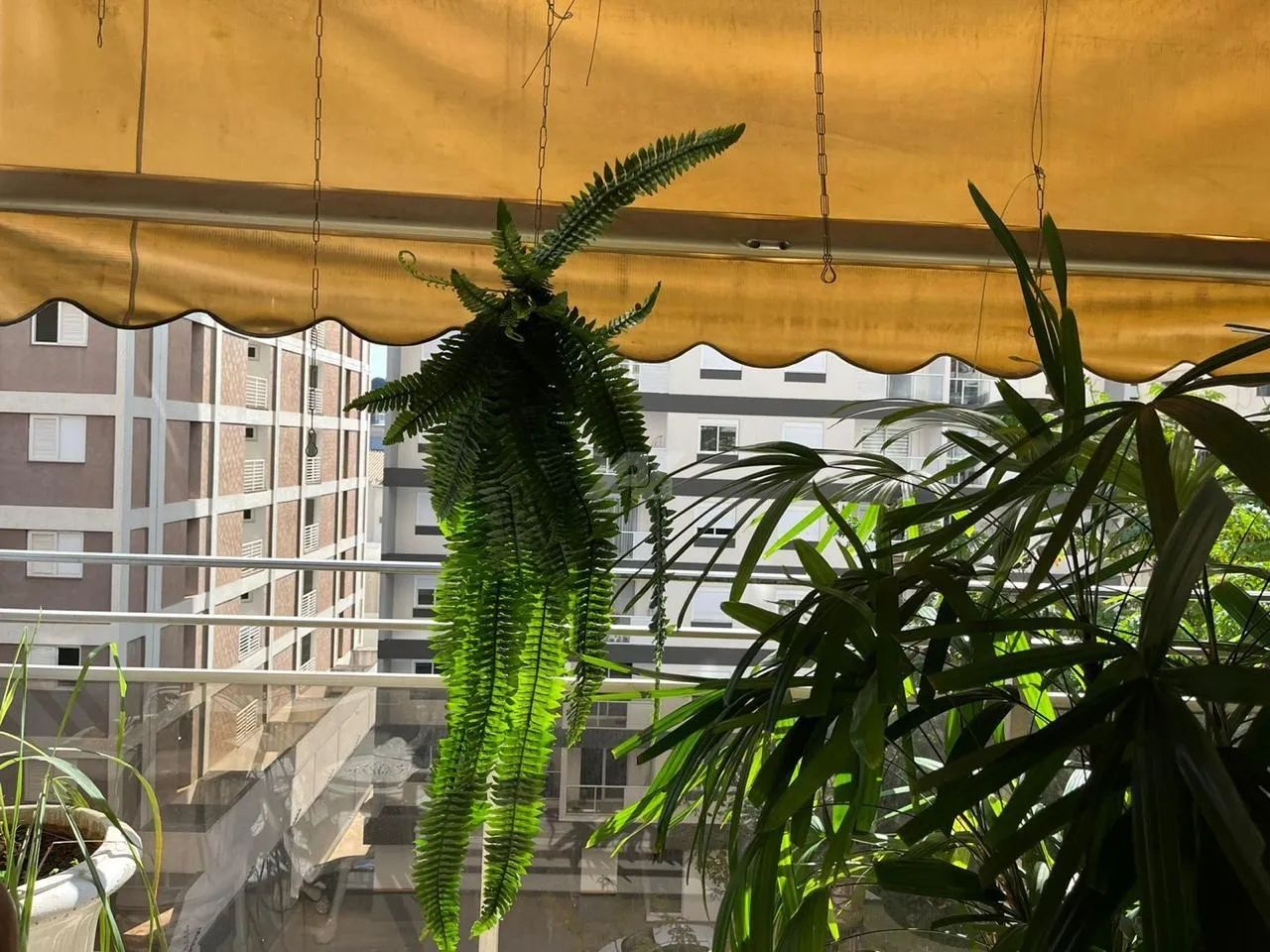 apartamento - Vila Itapura - Campinas - Foto 4