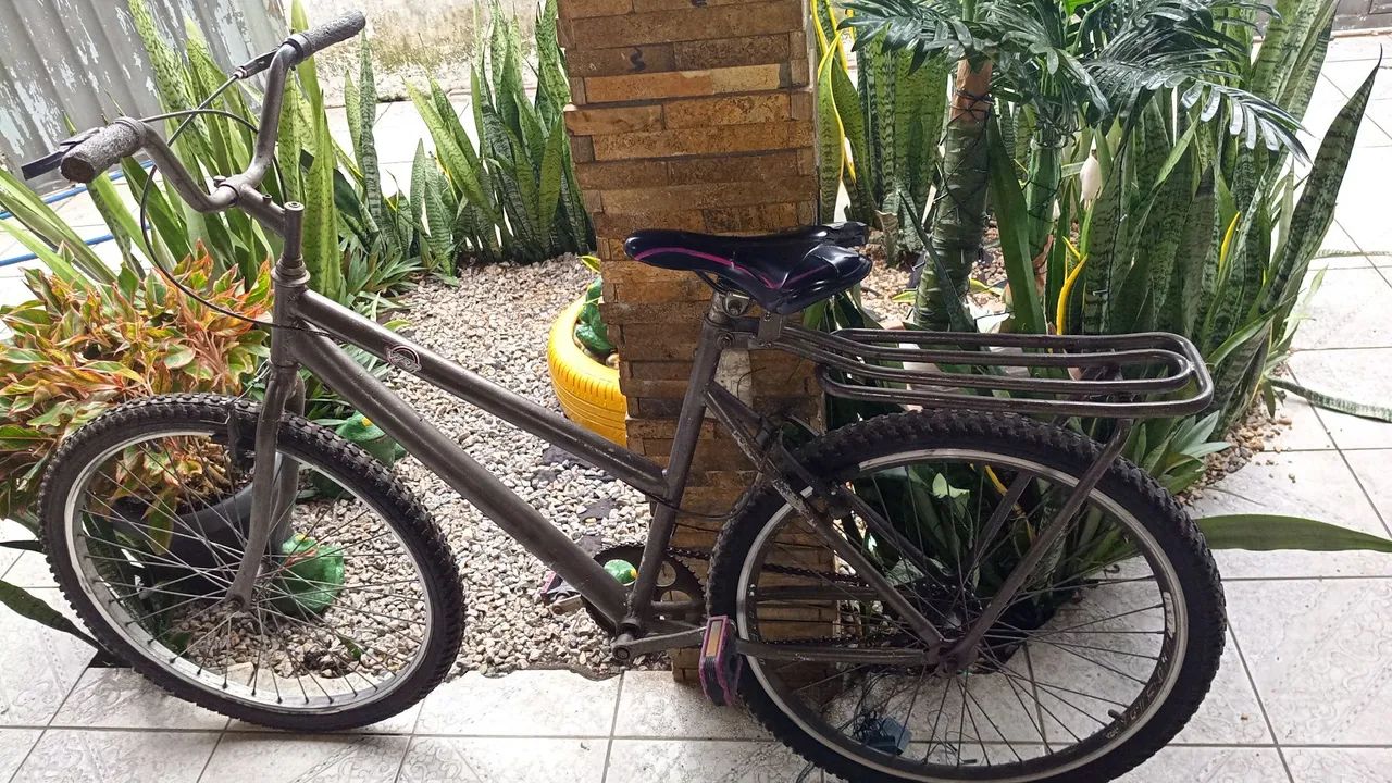 Bike Poty aro 24