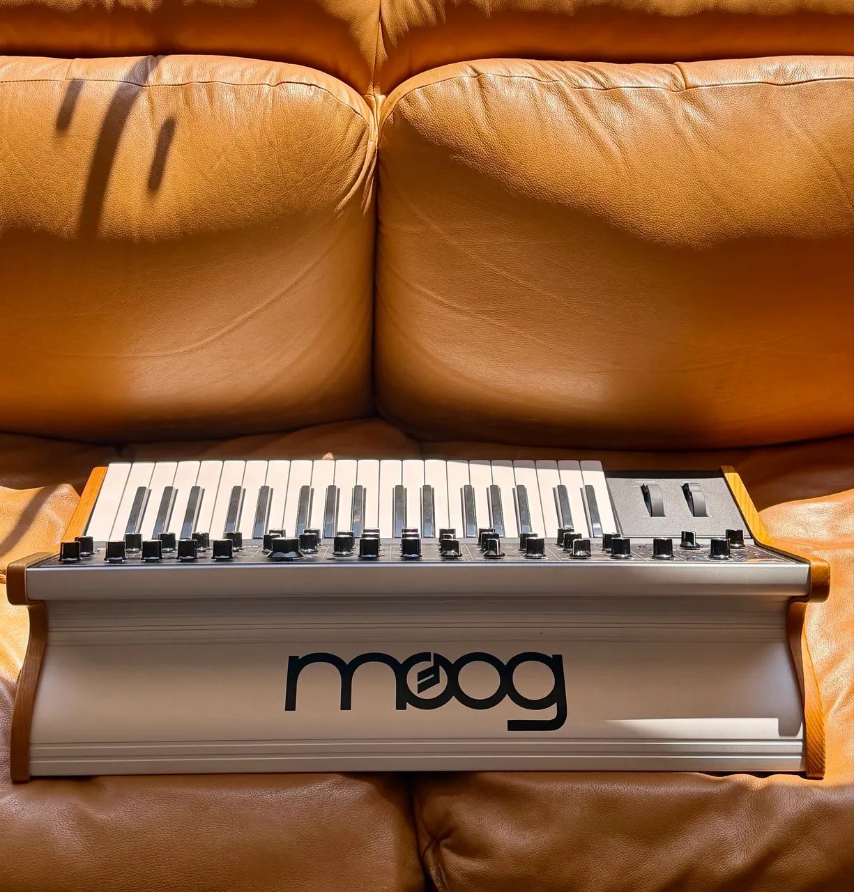 Moog Subsequent 37 - Foto 2